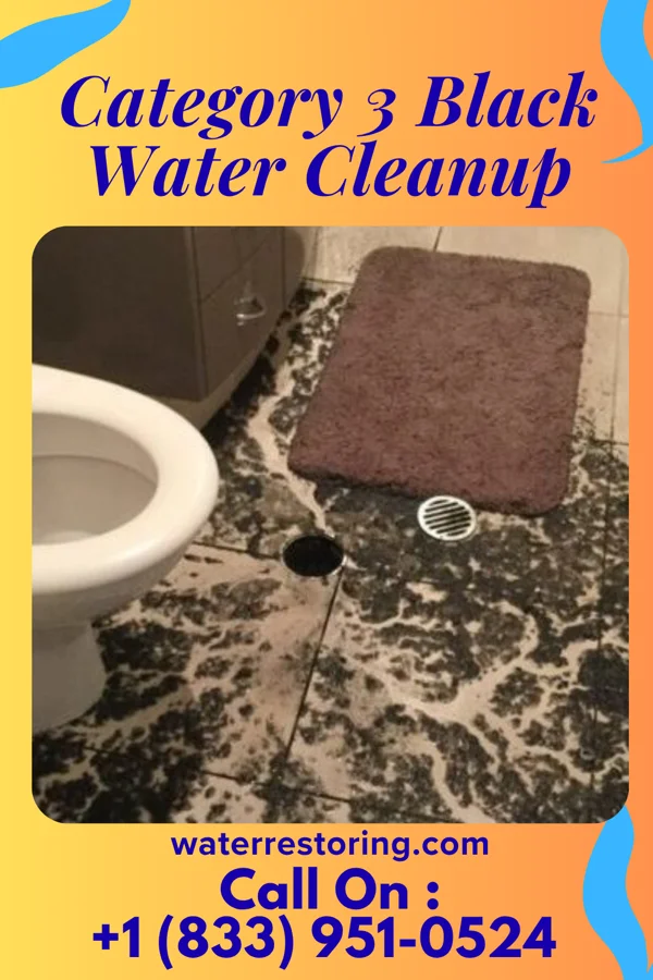 Category 3 Black Water Cleanup in Troy Grove, IL
