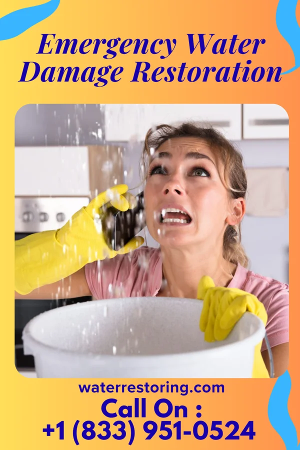 Emergency Water Damage Restoration in Troy Grove, IL