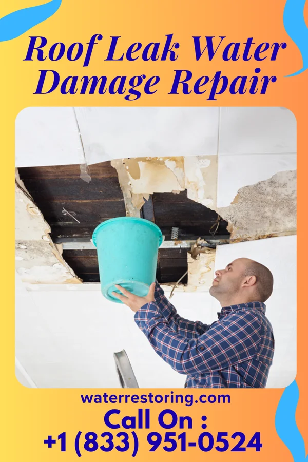 Roof Leak Water Damage Repair in Troy Grove, IL
