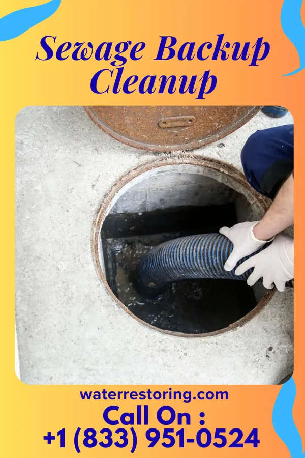 Sewage Backup Cleanup in Troy Grove, IL