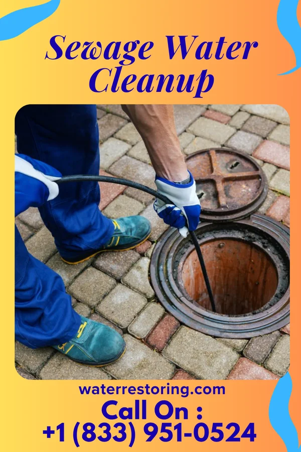 Sewage Water Cleanup in Troy Grove, IL